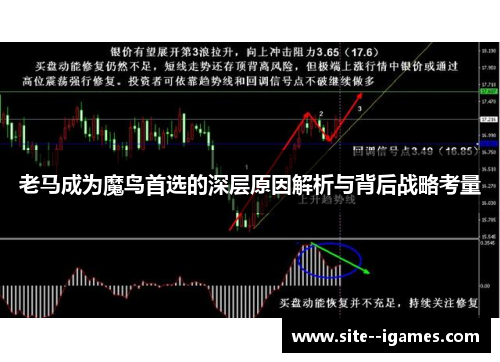 老马成为魔鸟首选的深层原因解析与背后战略考量 老马成为魔鸟首选的深层原因解析与背后战略考量