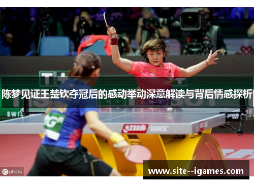 陈梦见证王楚钦夺冠后的感动举动深意解读与背后情感探析 陈梦见证王楚钦夺冠后的感动举动深意解读与背后情感探析