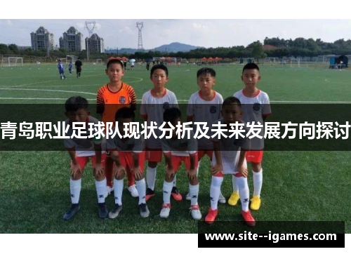 青岛职业足球队现状分析及未来发展方向探讨