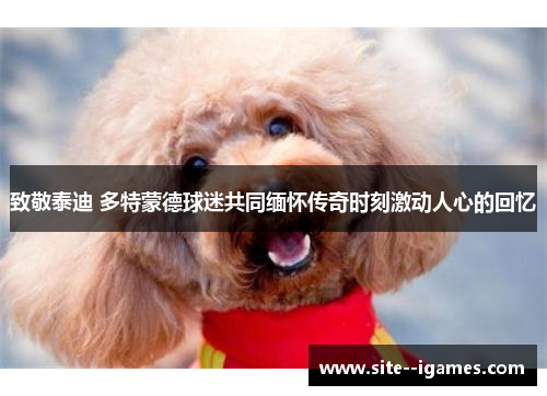 致敬泰迪 多特蒙德球迷共同缅怀传奇时刻激动人心的回忆