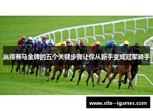 赢得赛马金牌的五个关键步骤让你从新手变成冠军骑手