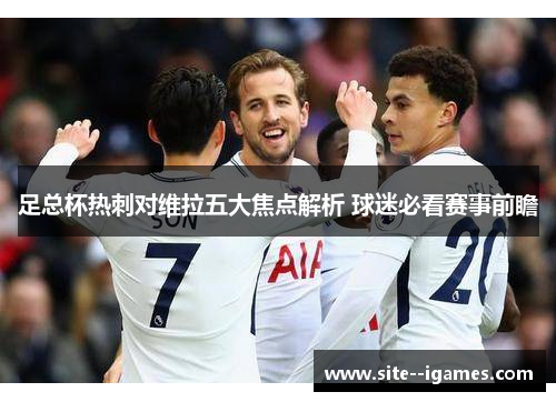 足总杯热刺对维拉五大焦点解析 球迷必看赛事前瞻