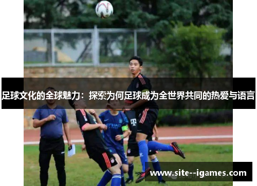 足球文化的全球魅力：探索为何足球成为全世界共同的热爱与语言