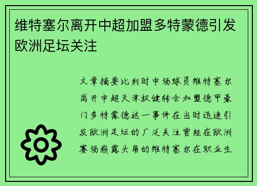 维特塞尔离开中超加盟多特蒙德引发欧洲足坛关注